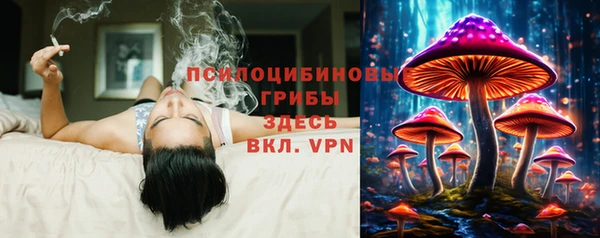 mdma Зерноград