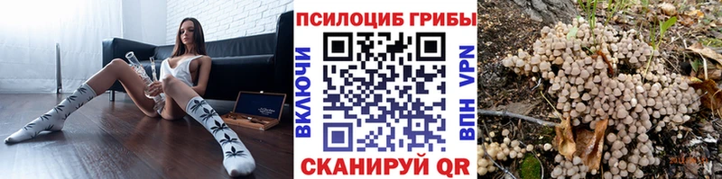 Купить  Гусев  Галлюциногенные грибы мухоморы 